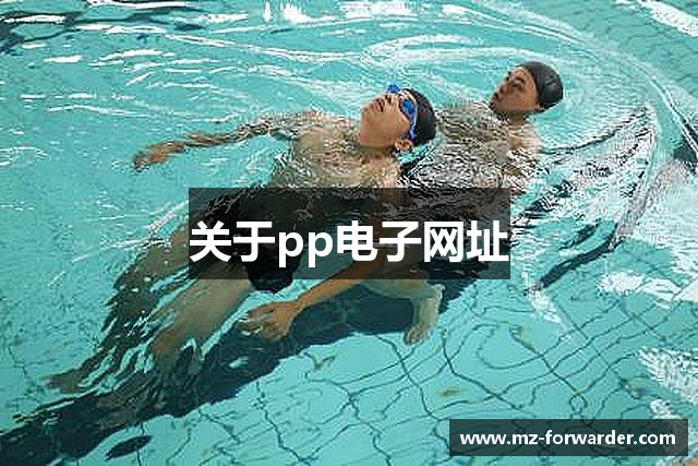 关于pp电子网址