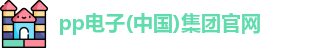 pp电子网址